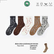 Colección Calcetines Brillos